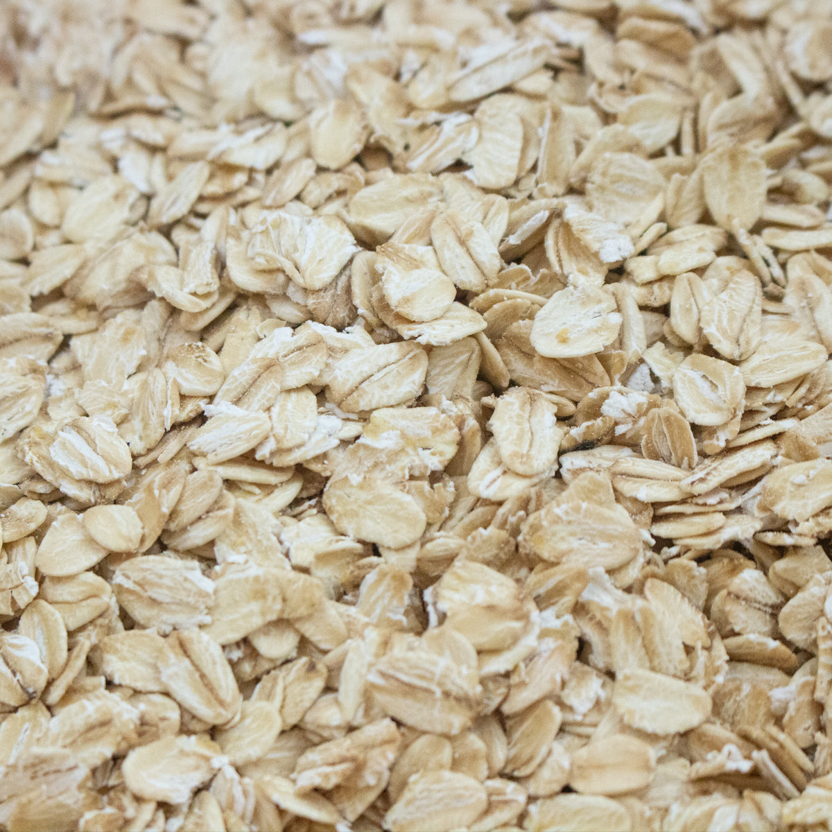 Organic Rolled Oats