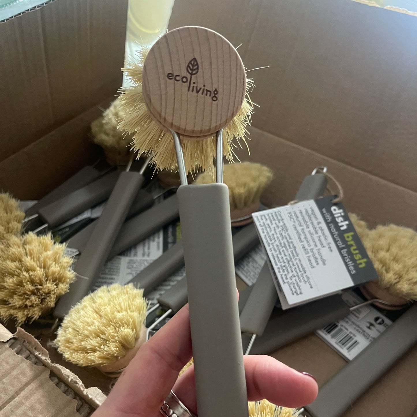 Long Handled Brush