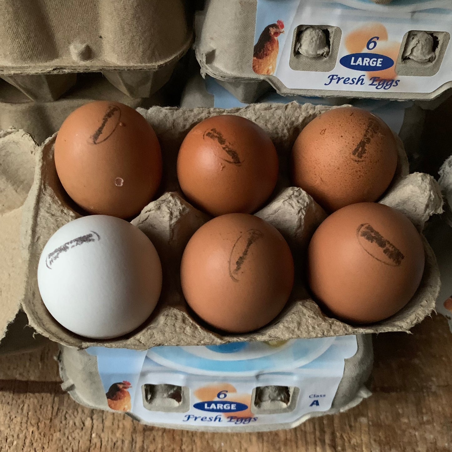 Free range eggs