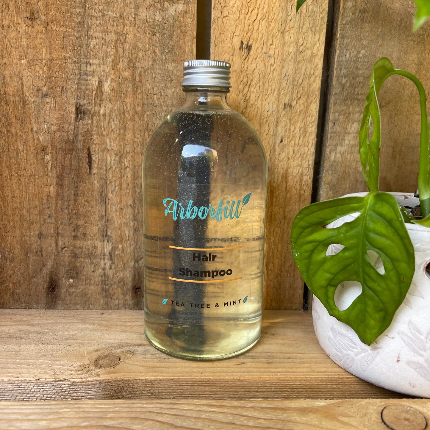 Hair Shampoo (choice of 3 scents)