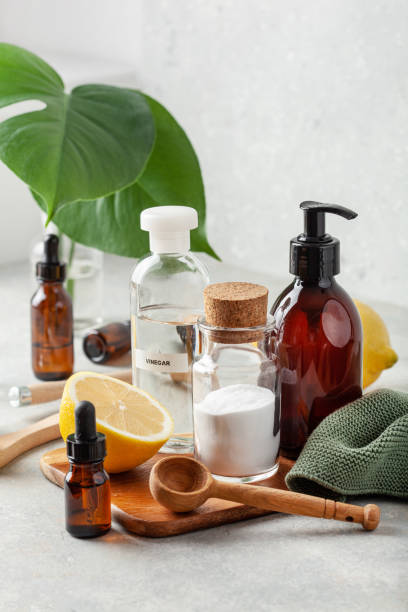 Low tox living and green cleaning workshop