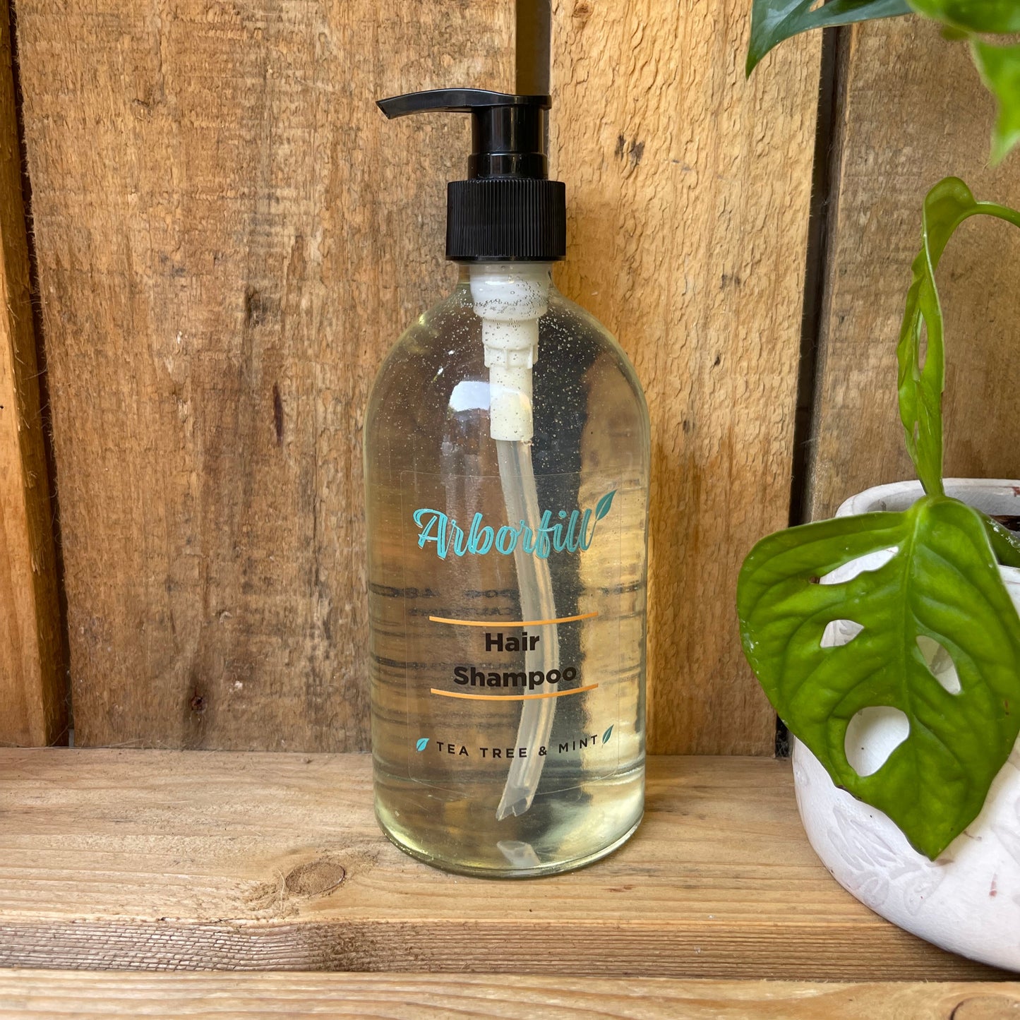 Clear shampoo bottle with pump on a wooden surface, surrounded by green plants.