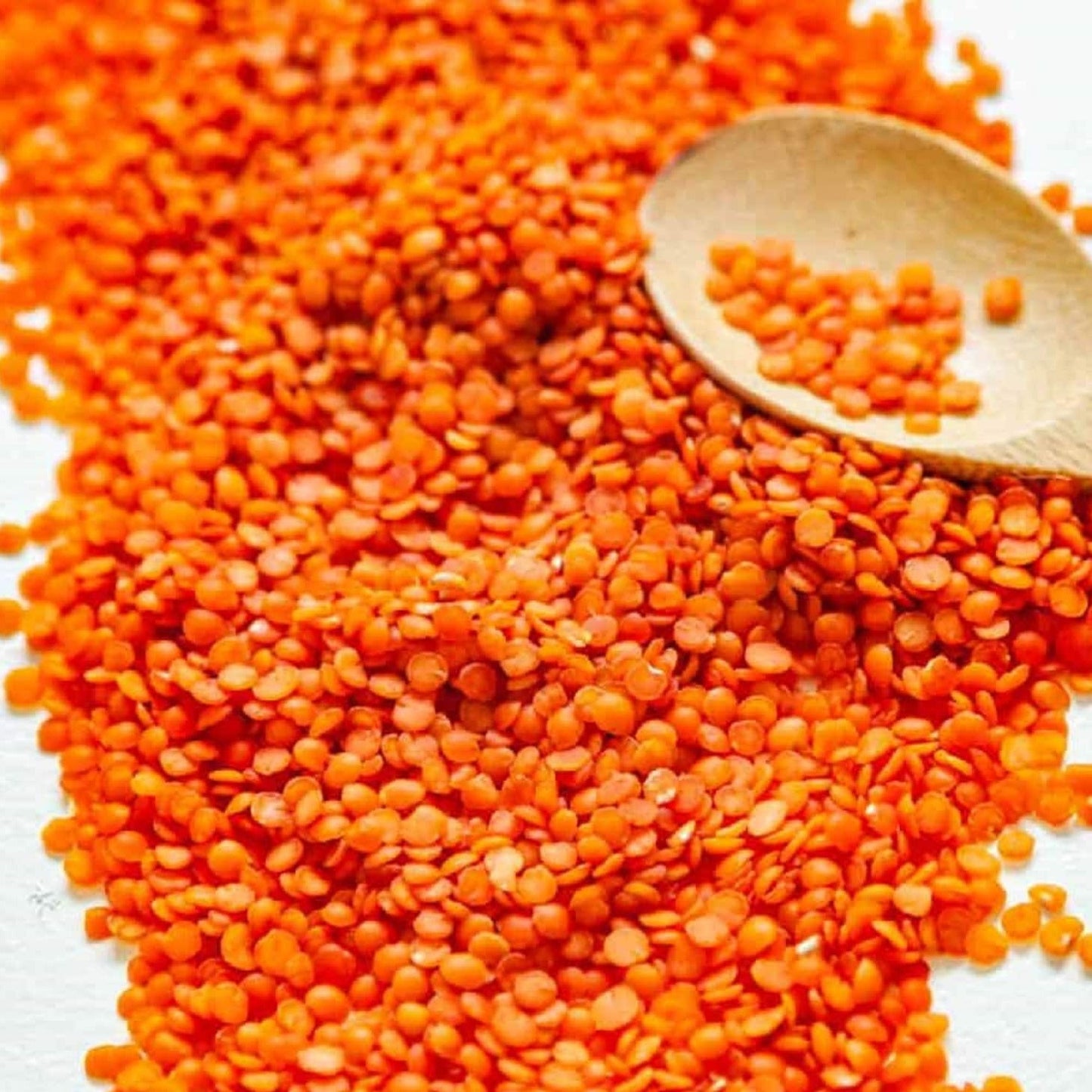 Organic Red Lentils