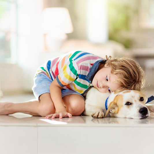 From Paws to Floors. Keeping Pets Safe with Natural Cleaning