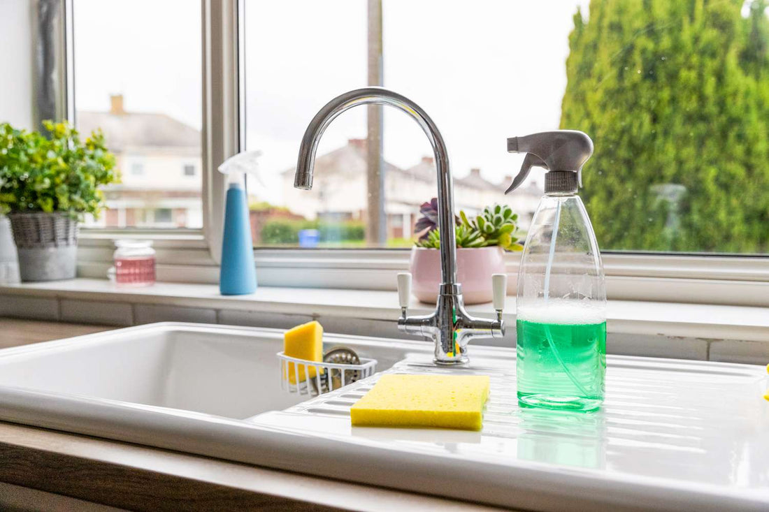 Photo of kitchen sink and window with cleaning products
