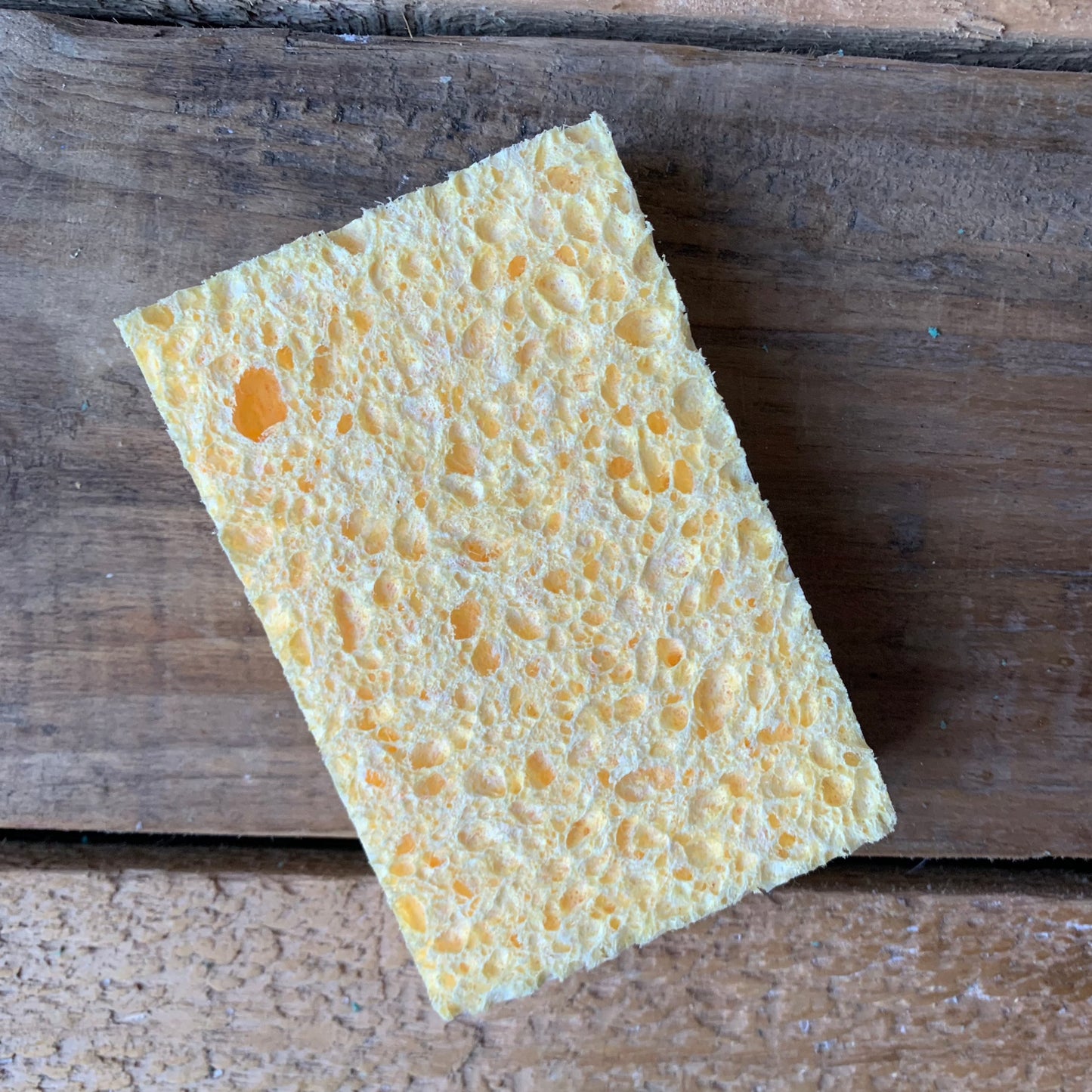 Ecoliving Compostable Sponges (2 pack)